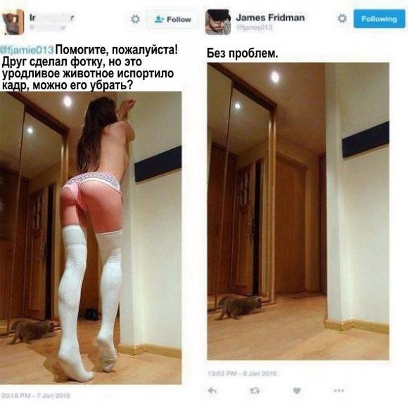 Смешные комментарии из социальных сетей картинки, приколы, юмор