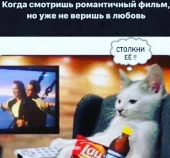 Немножко смешных зверушек... Надёргано , отовсюду
