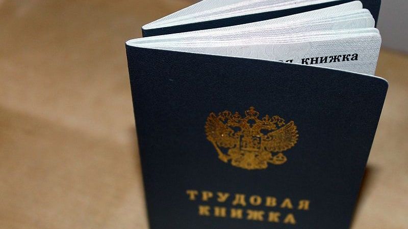 Экономист Лебединская назвала способ подтвердить стаж работы без трудовой книжки