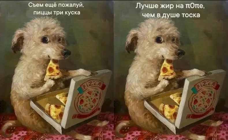 Немножко смешных зверушек... Надёргано , отовсюду