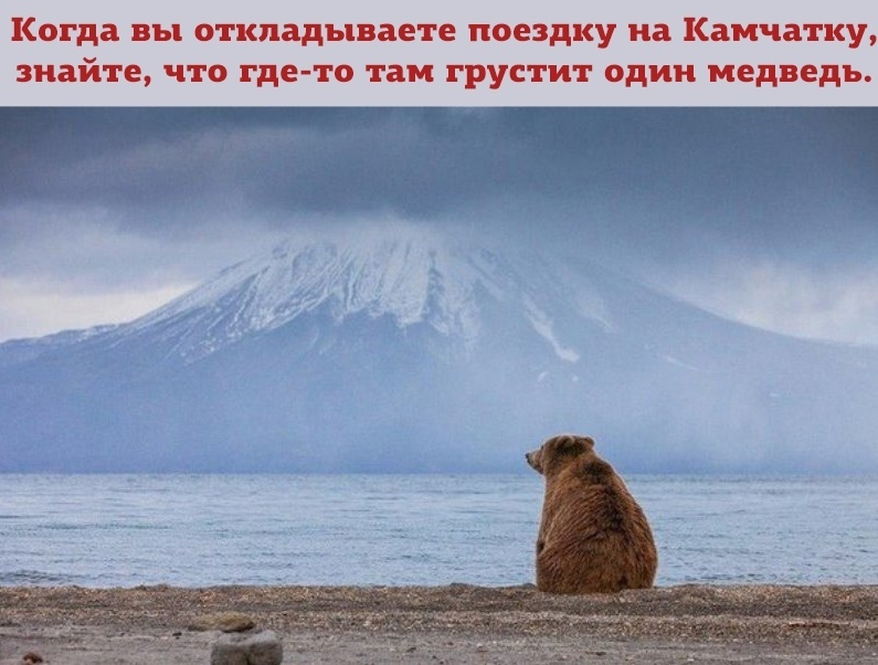 Солянка из красивых фотографий и смешных картинок с надписями