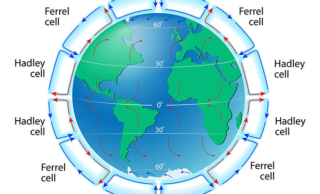 Почему очень часто пустыни появляются рядом с океаном, хотя рядом есть вода Почему очень часто пустыни появляются рядом с океаном, хотя рядом есть вода воздух, воздуха, пустынь, дождь, более, экватора, влагу, часть, охлаждается, Намиб, таких, ветры, прибрежных, пустыне, большая, стороне, количеством, случае, Стоун, когда