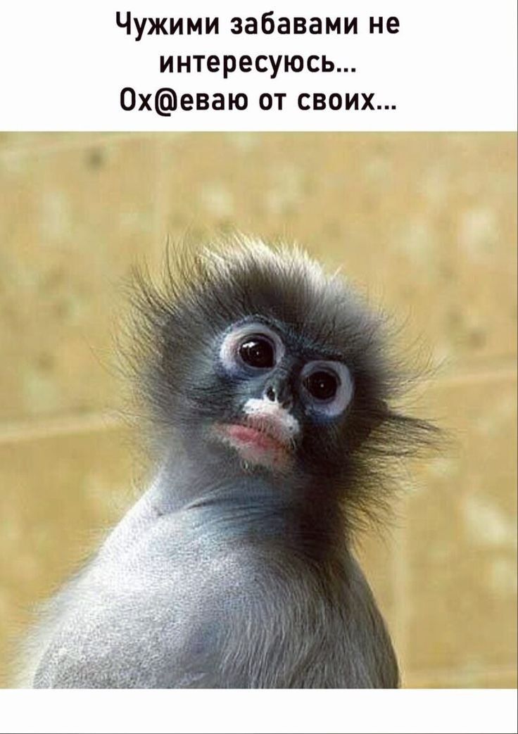 Отличные анекдоты и зачетные шуточки 