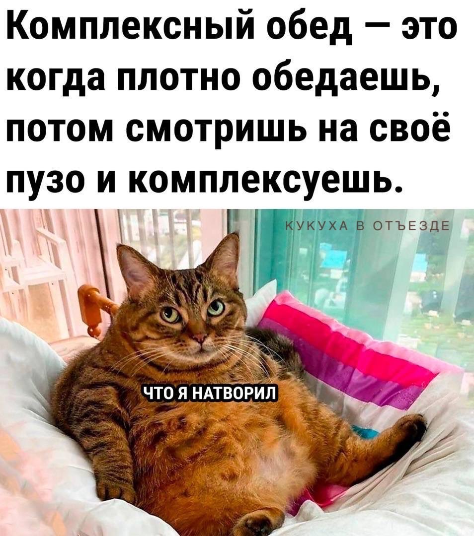Немножко смешных зверушек... Надёргано , отовсюду