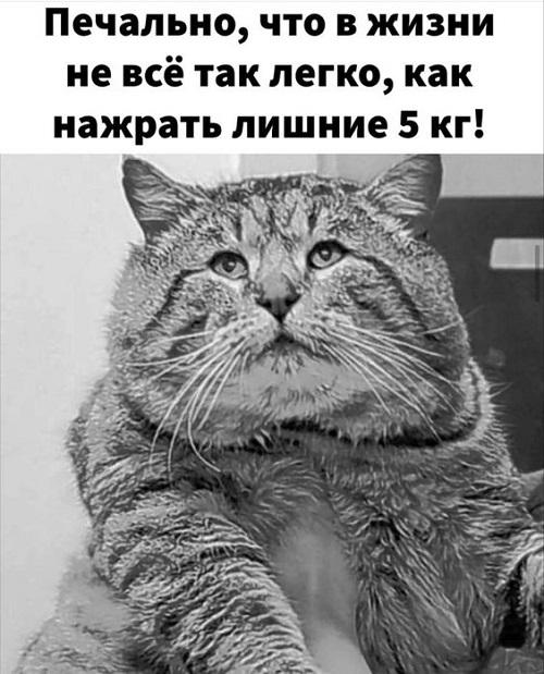 Самые лучшие угарные картинки Самые лучшие угарные картинки