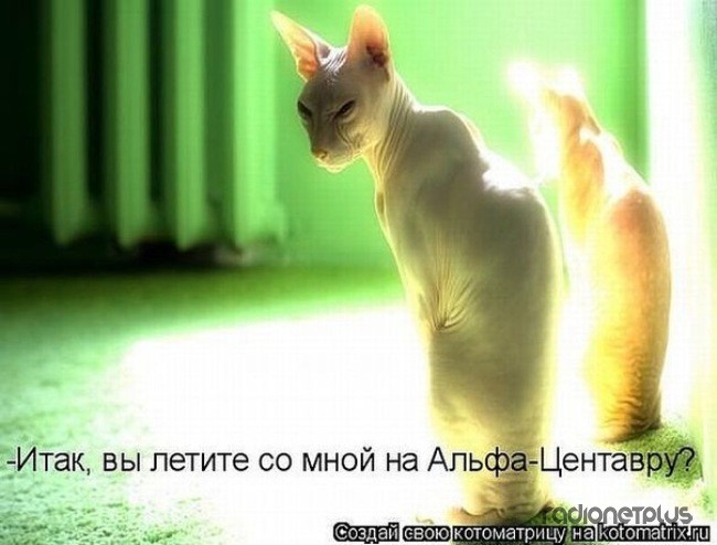 24 картинки развлекательного характера со зверьем 