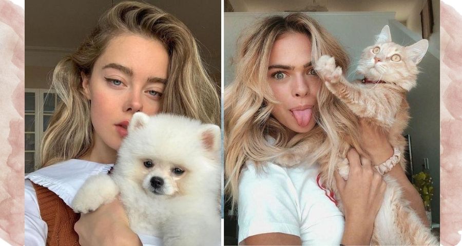 Кошатник или собачник: что о вашем характере расскажет выбор питомца домашние животные,интересное,наука