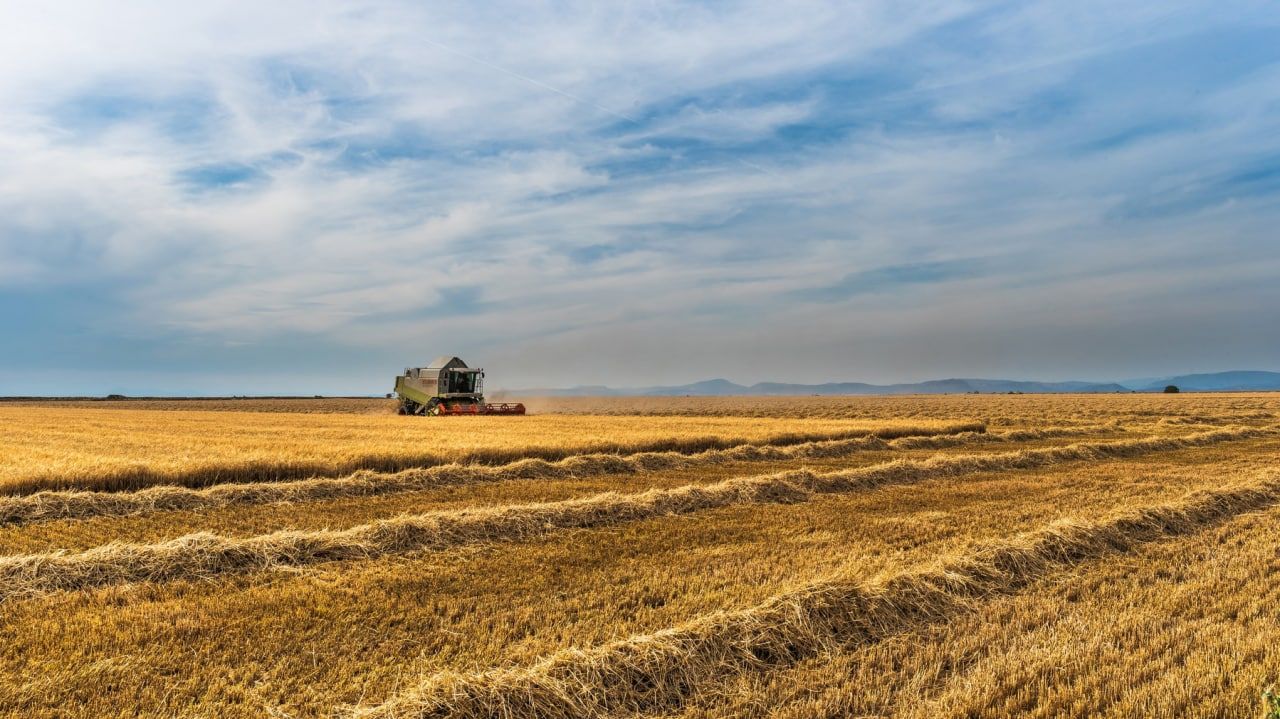 Президент России назвал пять способов транспортировки зерна из Украины Экономика