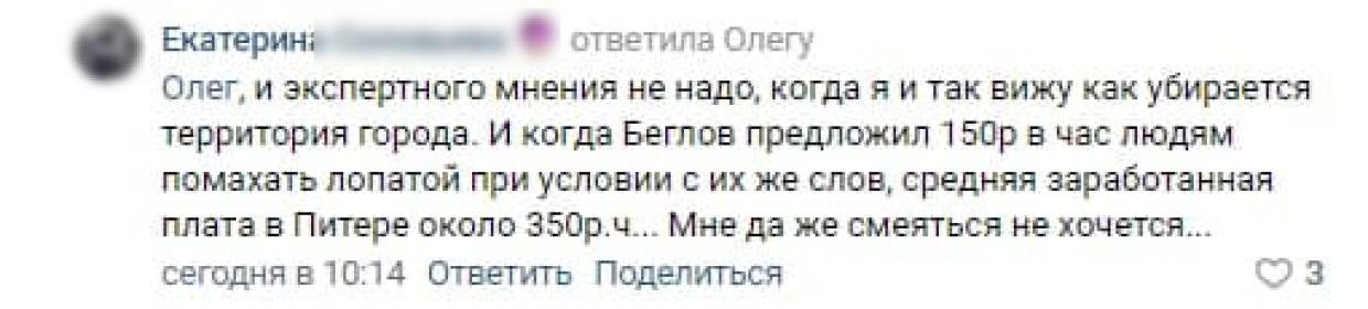 Петербуржцы «ткнули носом» чиновников в снег Общество