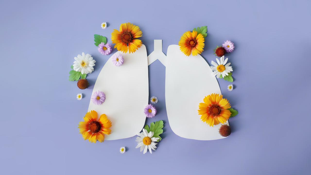 Почему после прививки заболевают туберкулезом — и еще 5 вопросов врачу о самой коварной болезни легких туберкулеза, детей, большинстве, случаев, туберкулезом, микобактерии, более, наличии, вакцина, успешно, жизни, может, легких, почему, человек, организме, человеком, вакцинации, вакциной, флюорография