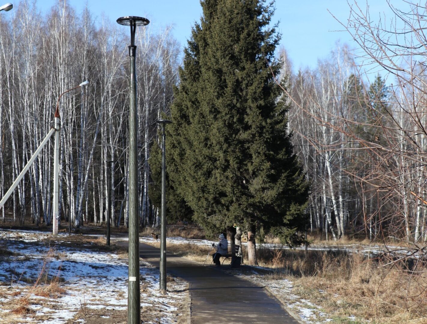 парк в академгородке