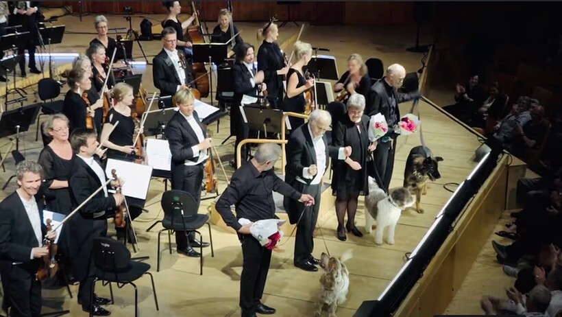 оркестр в Дании сыграл Моцарта с собаками