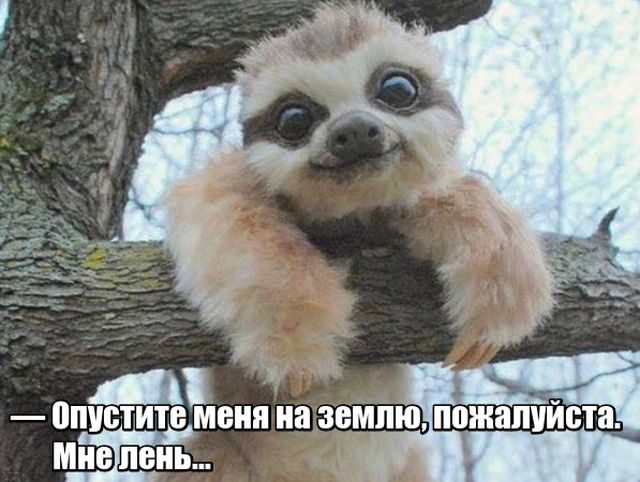 Подборка прикольных фоток!