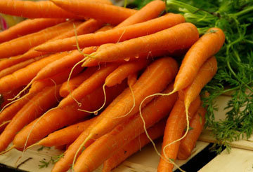 Рецепты из моркови