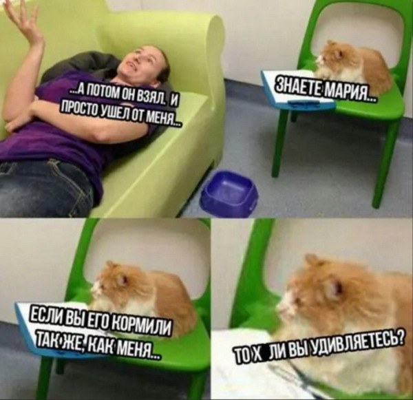 Хронические ежевечерние женские штучки Хронические ежевечерние женские штучки