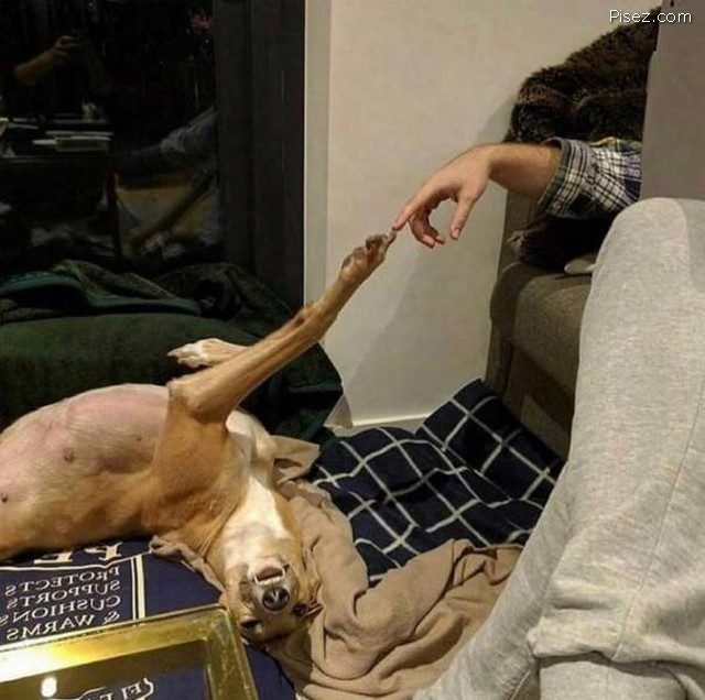 Приколы января 2021 Приколы января 2021 приколы,смешные картинки,юмор