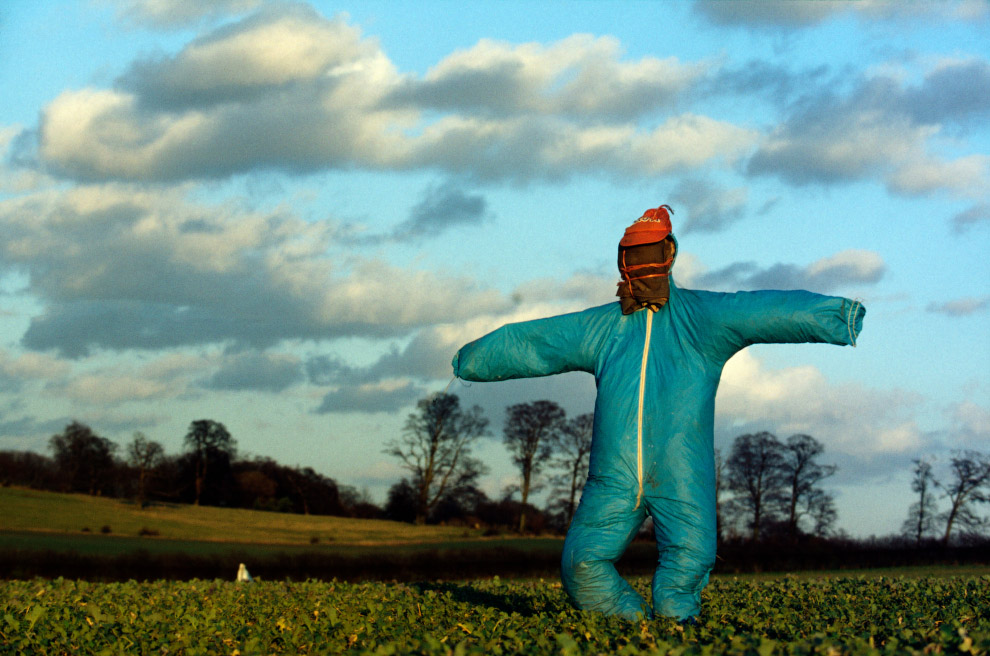 Пугала: страшные фотографии из сельской местности Англии Европа,Путешествия,фото