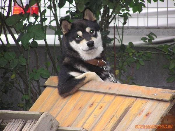 Давайте улыбаться вместе! :) Давайте улыбаться вместе! :)