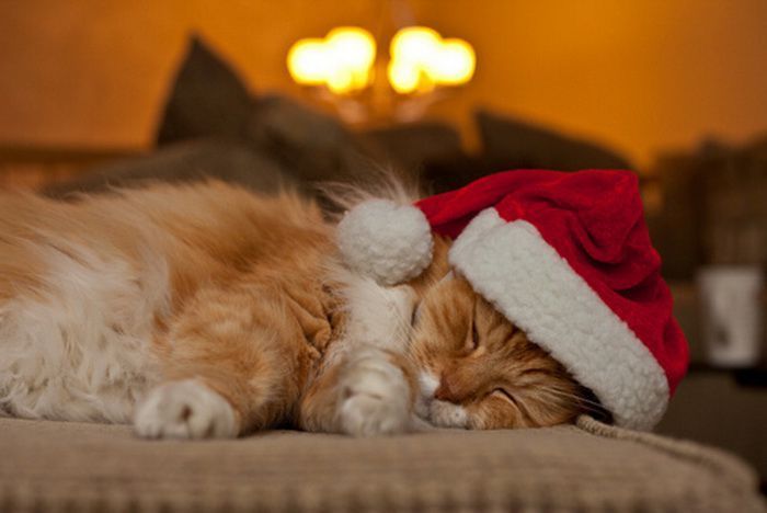 Давайте улыбаться вместе! :) №270114