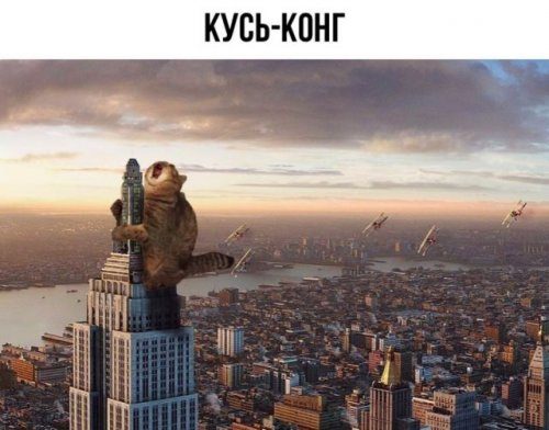 Фотоприколы дня!
