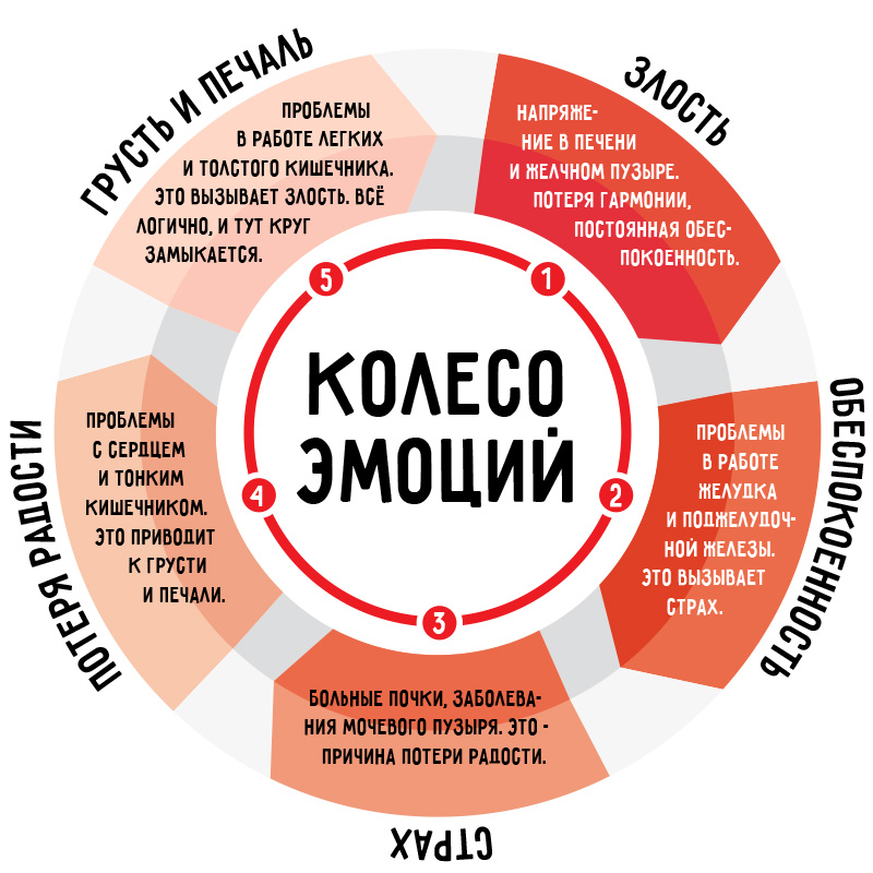 Влияние эмоций на здоровье проект