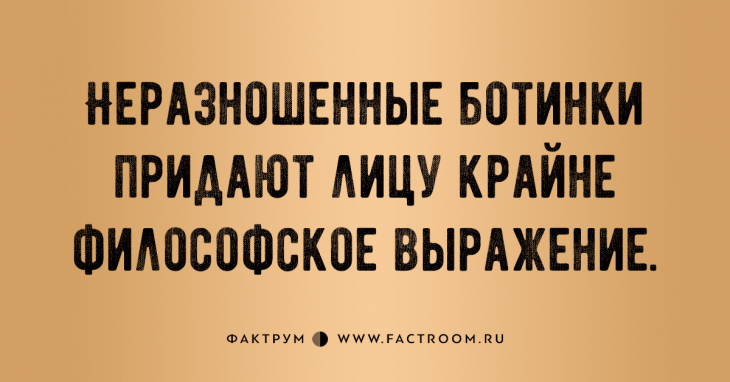 Удивительно прикольные анекдоты, вызывающие дикий смех