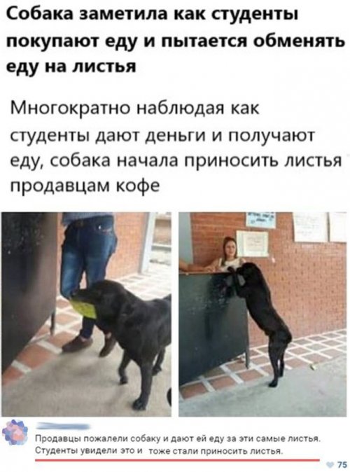 Прикольные картинки для всех Прикольные картинки для всех