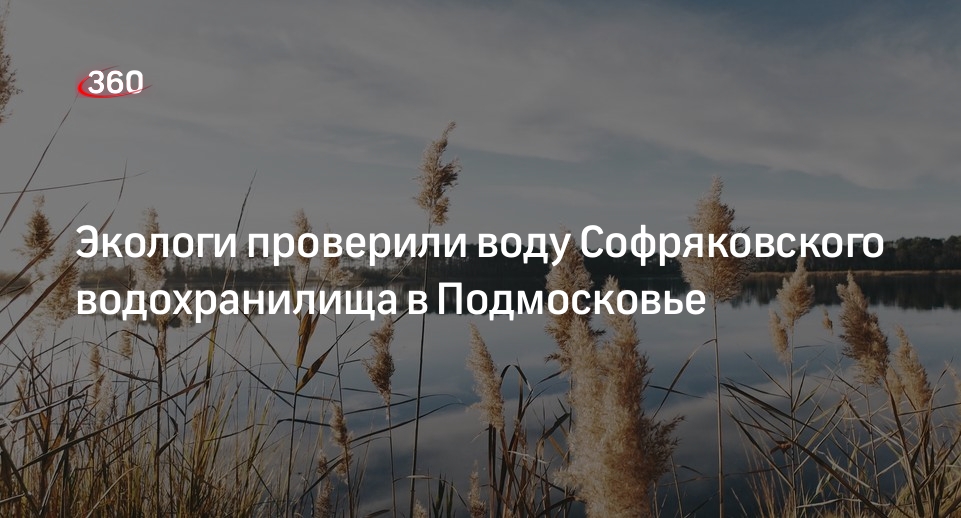 Экологи проверили воду Софряковского водохранилища в Подмосковье