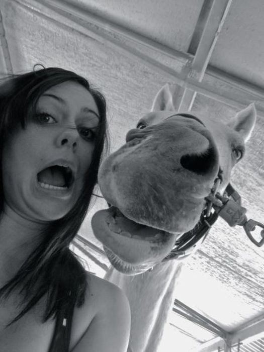 Прикольный позитив в фотографиях (110 фото)