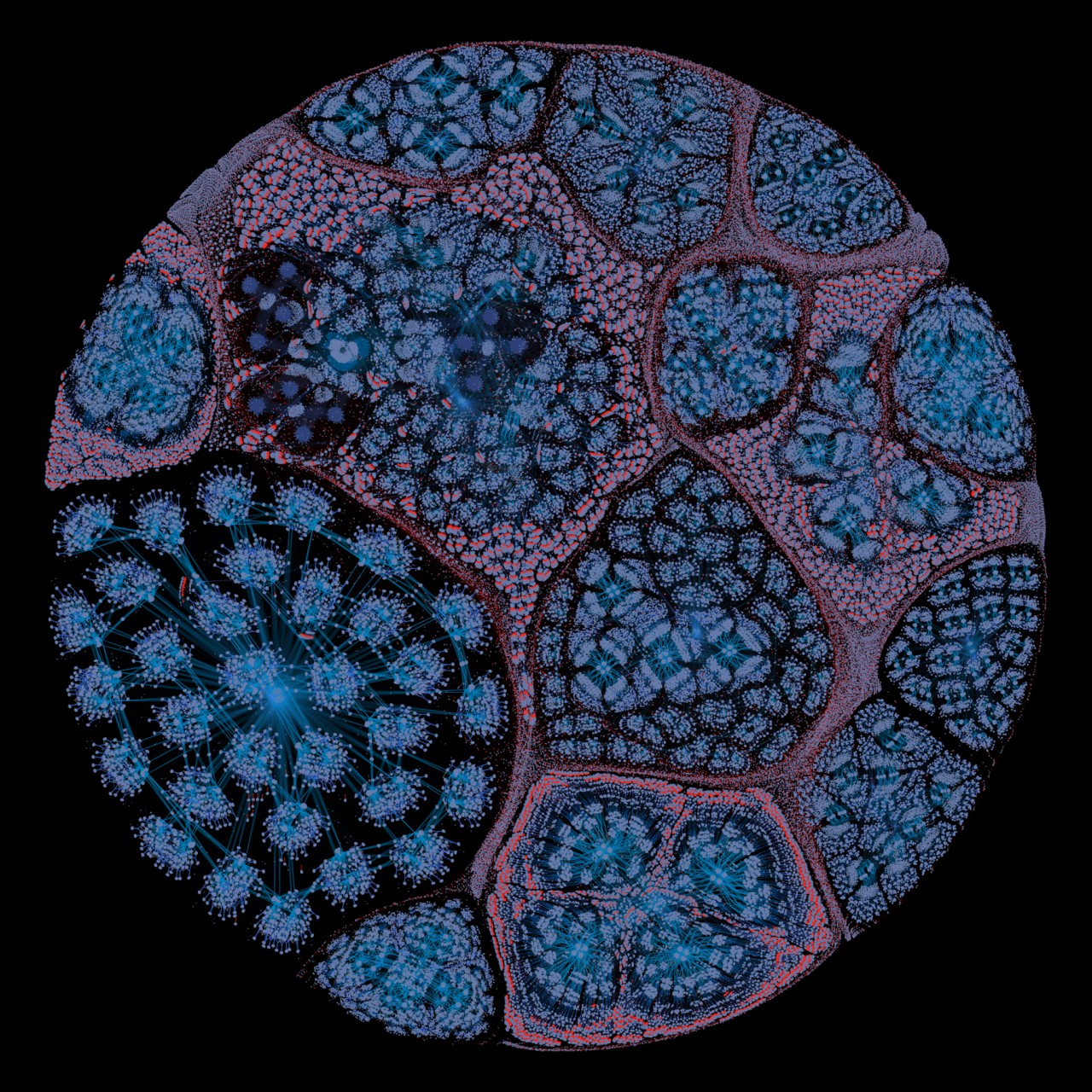 neuro