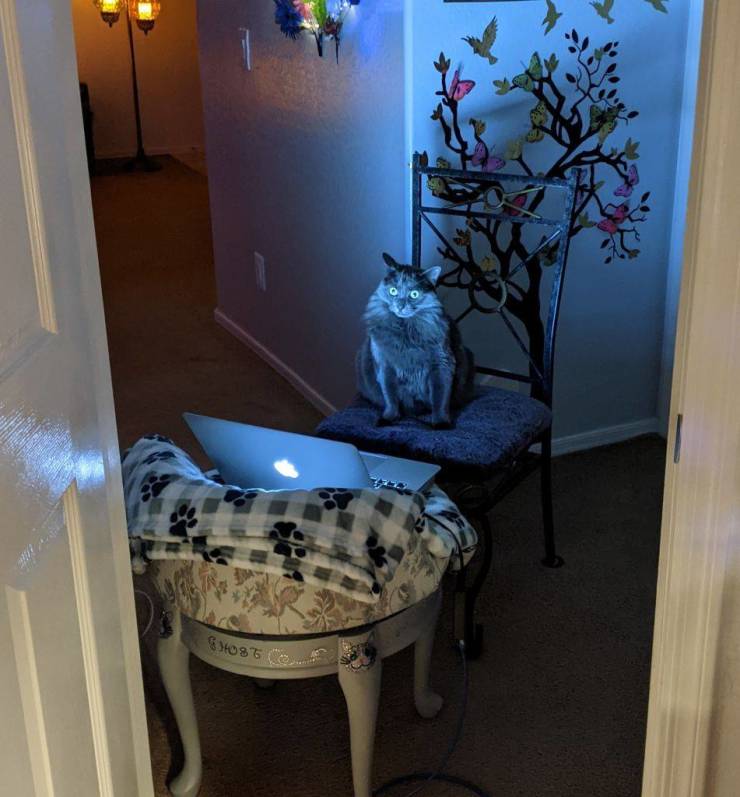 Подборка прикольных картинок Подборка прикольных картинок приколы,смешные картинки,юмор