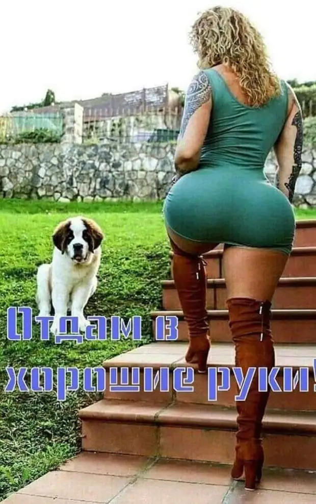 Идеальные отношения – это когда ты покупаешь ему зубную щетку, а он тебе – машину