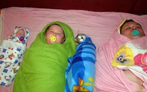 Много фото-приколов и картинок (60 шт)