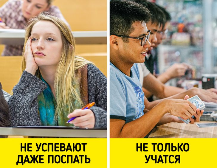 Особенности высшего образования в разных странах, которые удивят русского студента Особенности высшего образования в разных странах, которые удивят русского студента студентов, не только, образования, Студенты, не будет, и основных, Оценки, студента, Система, Никто, в престижном, программы, учащиеся, университетах, К слову, длится, позиции, занимают, которые, студенты