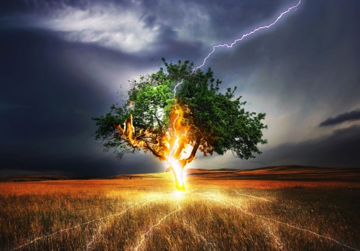 Бог Перун мог метнуть огненную стрелу в одинокое дерево. /Фото: attuale.ru