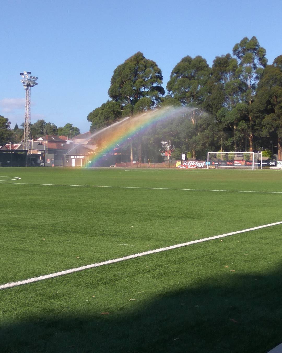 Забавные картинки для хорошего настроения Забавные картинки для хорошего настроения животные,жизнь,звери,земля,котики,коты,курьезы,мир,питомцы,планета,приколы,природа,смешное,собаки,факты,фауна,флора,щенки,юмор