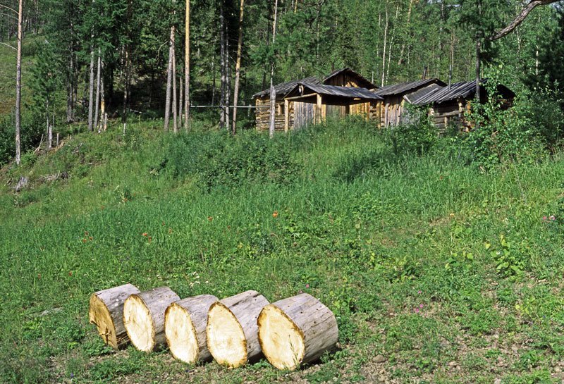 Заимка чуть ниже Чемдальска. история, путешествия, россия, факты