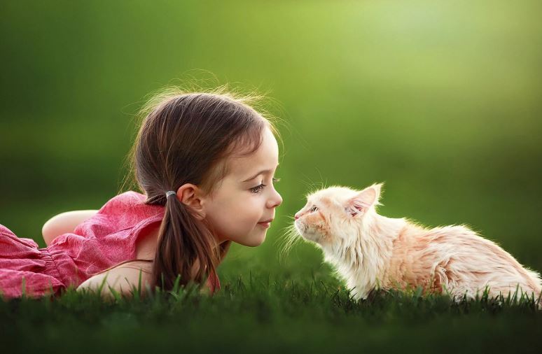 Ржачные фото приколы и картинки с надписями Ржачные фото приколы и картинки с надписями