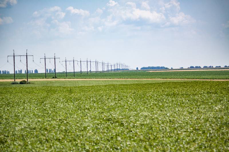 Записки Колорадского Таракана №200. Немного воняет, но перспективы есть Записки Колорадского Таракана №200. Немного воняет, но перспективы есть украина