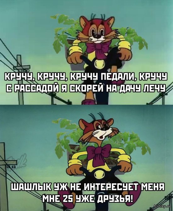 Подборка прикольных картинок  смешные картинки