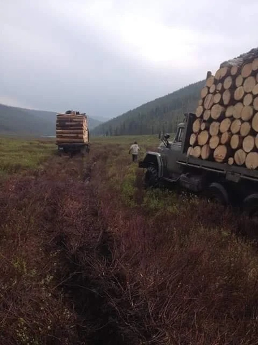 Как возят лес в Монголии авто и мото,автоновости,видео