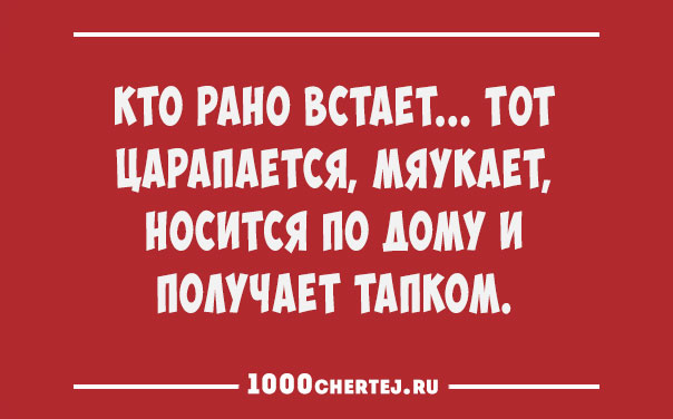 Всем смеяться в виброрежиме.))) Винегрет из шуток, статусов и приколов 