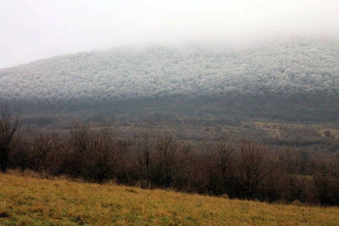 Бегите не оглядываясь, если увидели первые подобные признаки