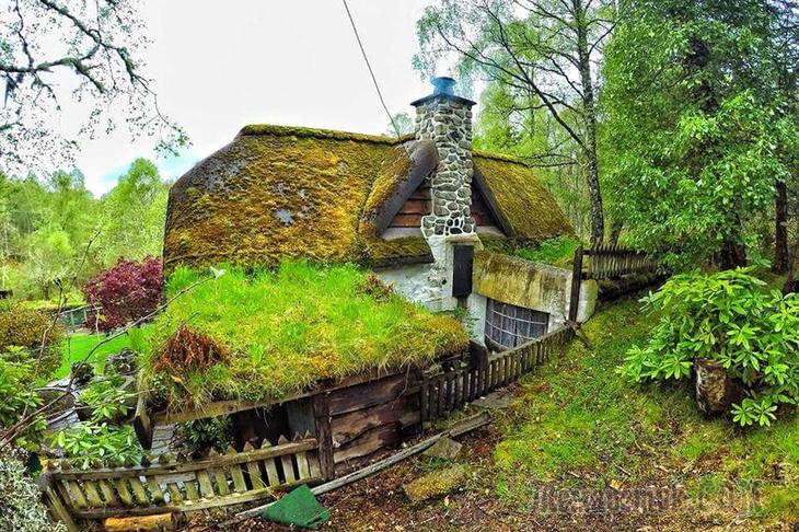 Дом Хоббитов в Шотландии интерьер и дизайн,ремонт и строительство