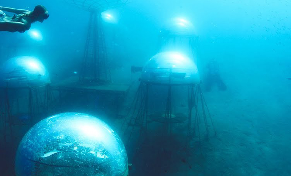 На глубине моря дайверы увидели 28 прозрачных шаров. Внутри были спрятаны растения, которые обычно растут на земле