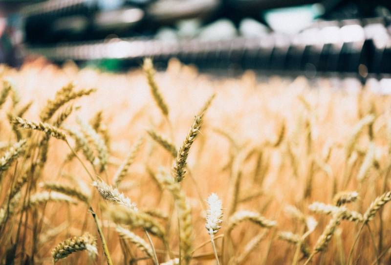 ЕС бьёт рекорды по закупкам российского продовольствия