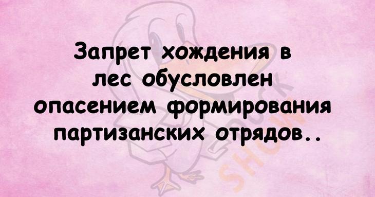 Чтобы поднять себе настроение, достаточно лишь нескольких шуточных фраз 