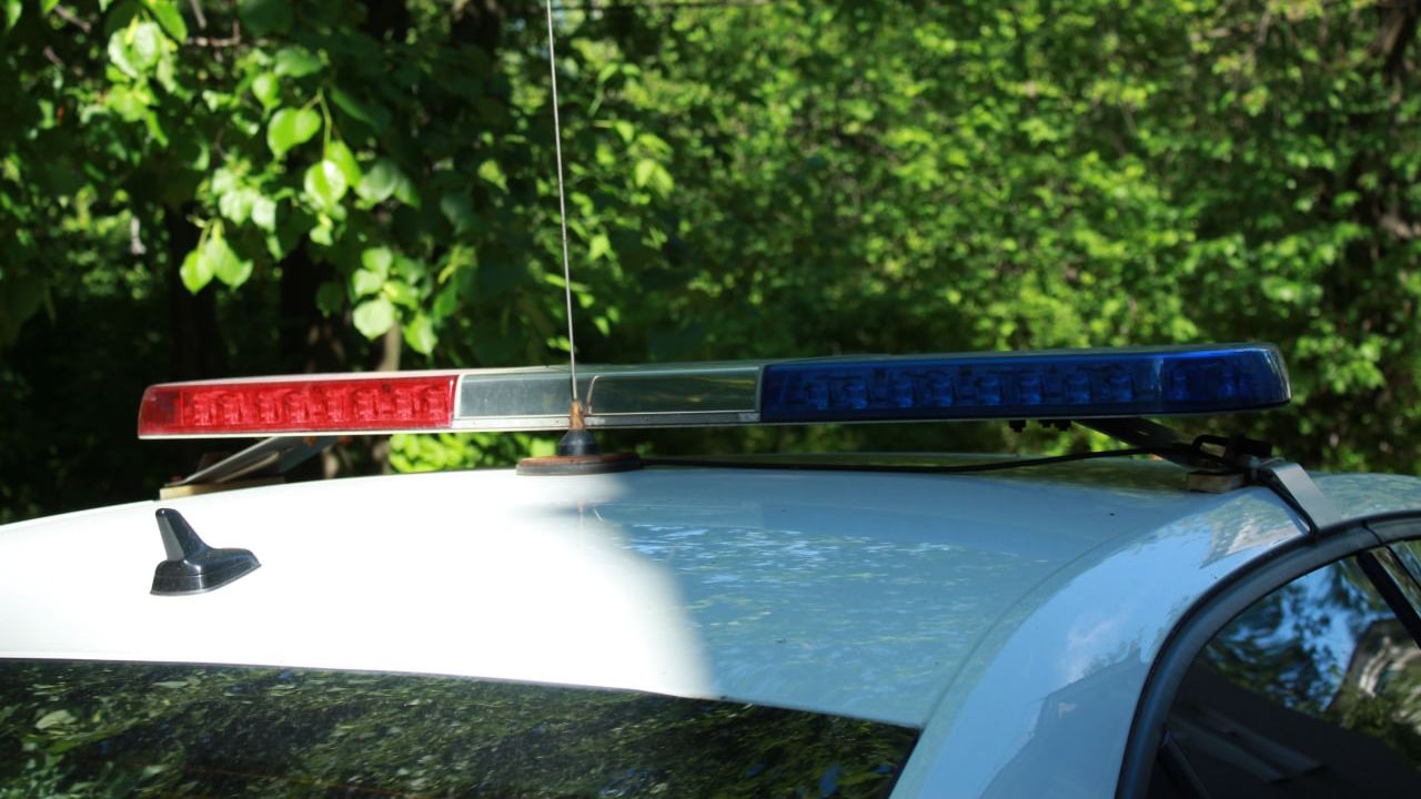 Российские силовики предотвратили серию терактов в Херсонской области