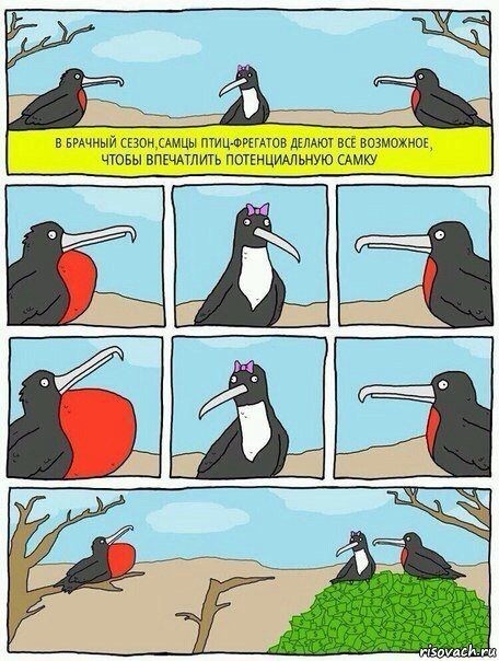 Картинки к 8 Марта картинки, фото