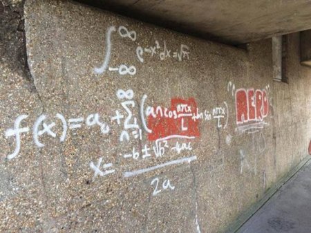 Прикольная фотоподборка (55 фото)